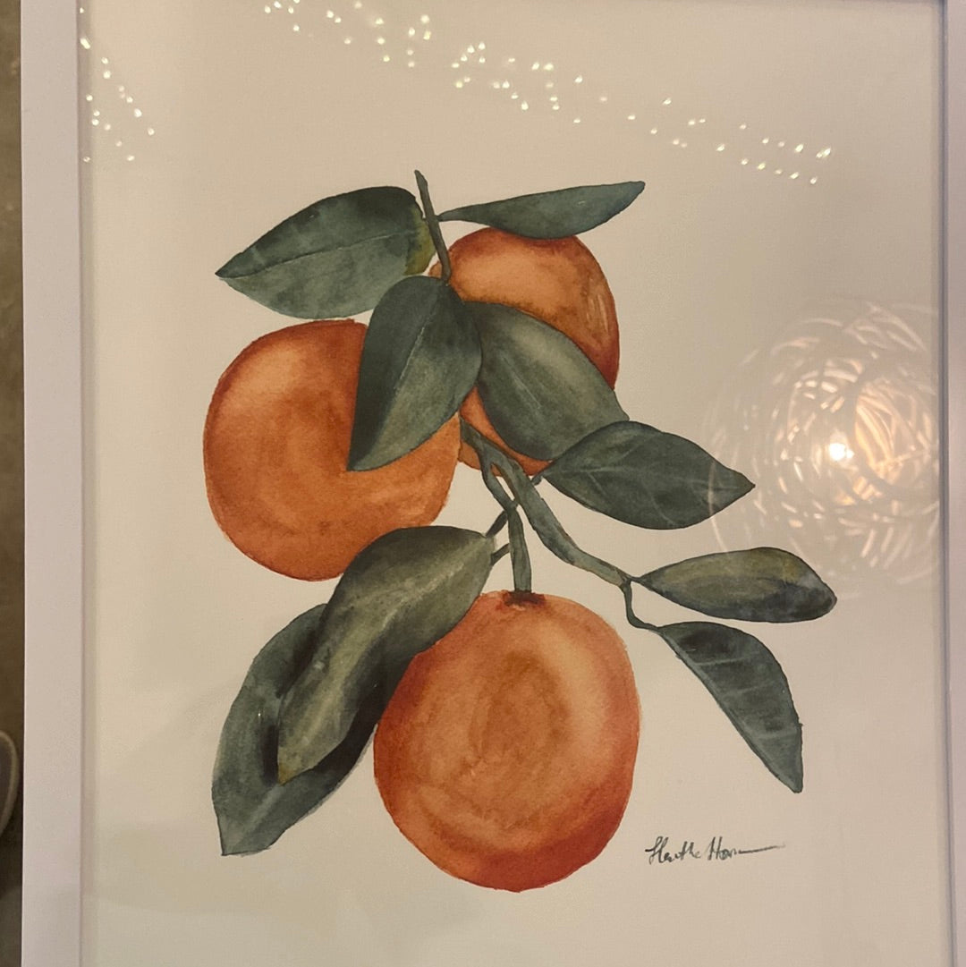 Heather Homan Framed Artwork - Oranges